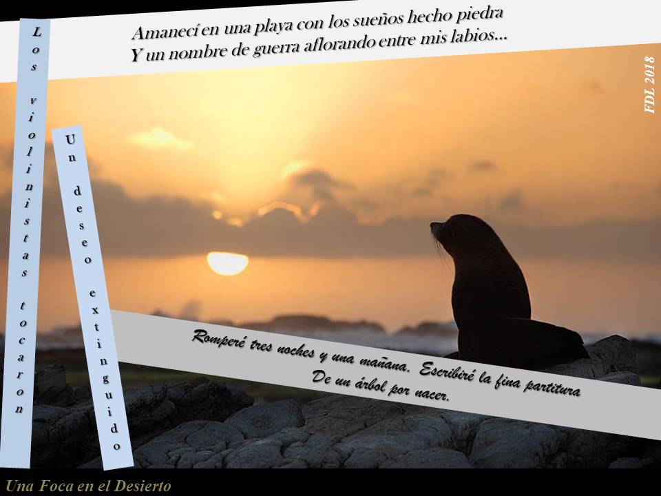 Tienda Books